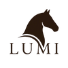 LUMI