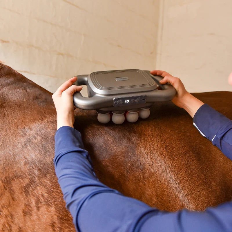 LUMI Equi Pulse - Omdat jouw paard het beste verdient
