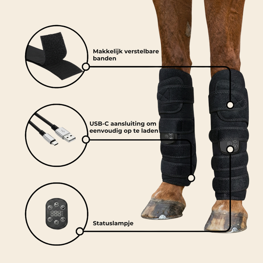 LUMI LegFlow - Geef je paard de ondersteuning die het verdient