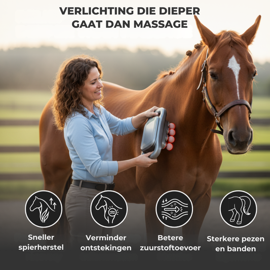 LUMI Equi Pulse - Omdat jouw paard het beste verdient