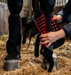 LUMI LegFlow - Geef je paard de ondersteuning die het verdient