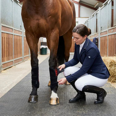 Image with text section